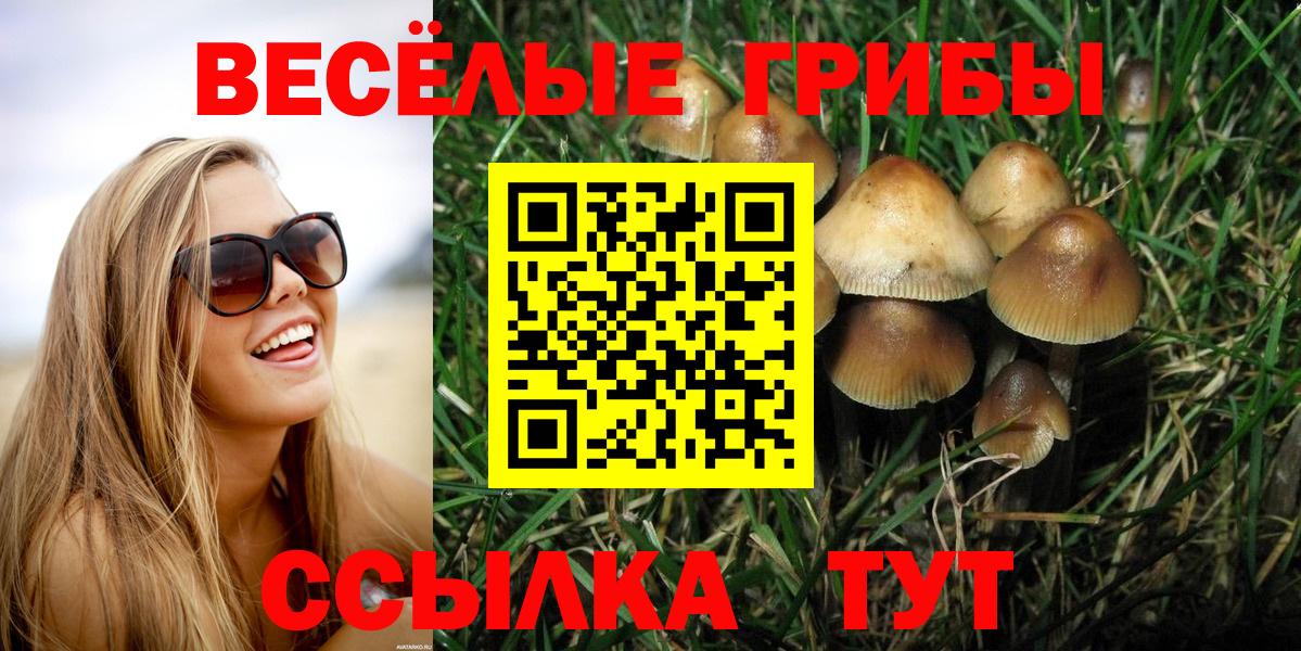 Псилоцибиновые грибы прущие грибы  где купить наркотик  Майкоп  Вход с VPN 